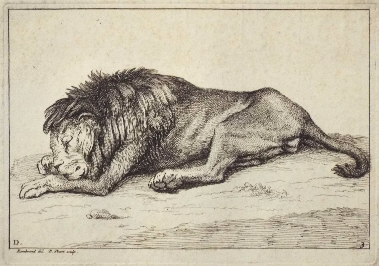 Etching - D. 3. Lion - Picart